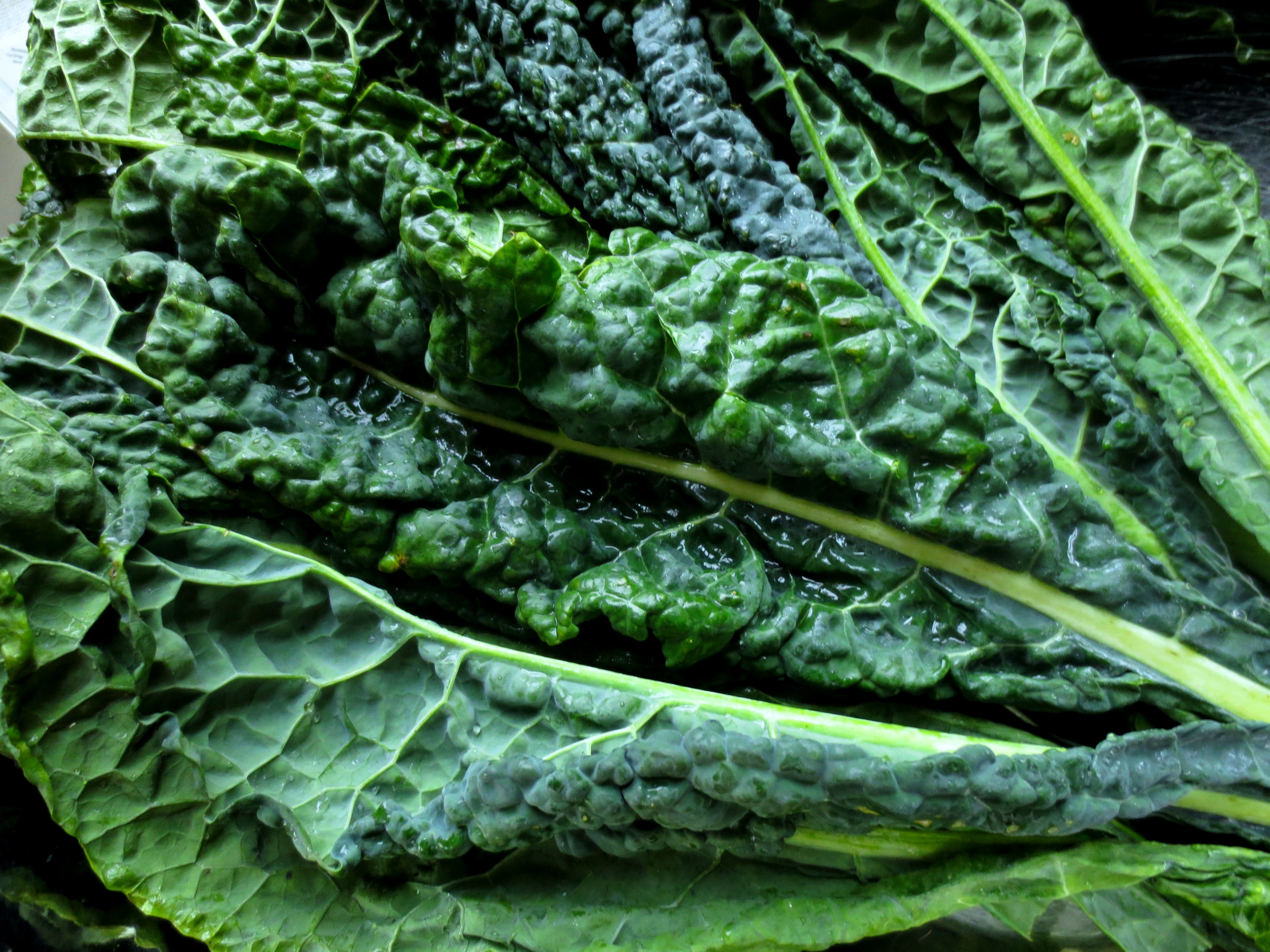 Can Too Much Kale Really Be Bad For You? – Bec Somers